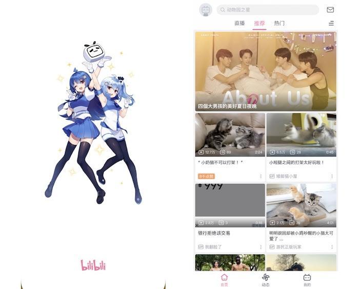 bilibili